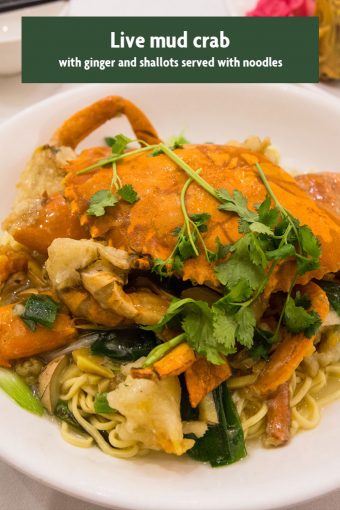 Recommendation Parkland Live mud crab with Ginger and Shallots served with E Fu noodles 340x510 - Parkland