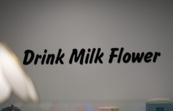 A7402793 342x220 - Milk Flower